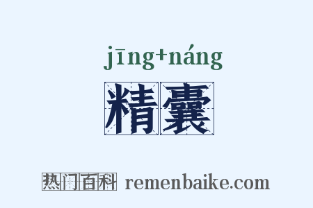 精囊是什么意思的图片